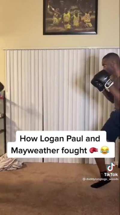 Logan vs Mayweather Reality