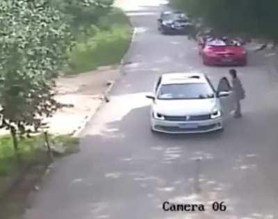 Woman gets out of the car to argue with her husband while inside a Tiger Safari 