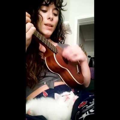 Our kitten loves when my girlfriend sings