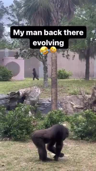 Real time Evolution