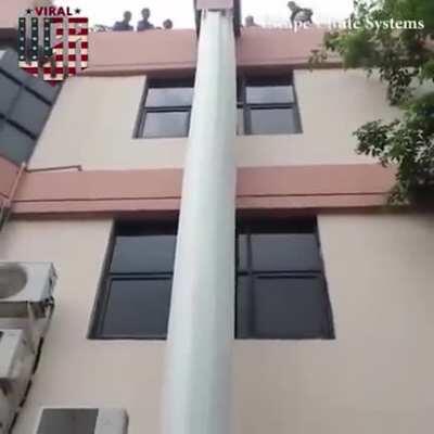 Penis Chute Systems