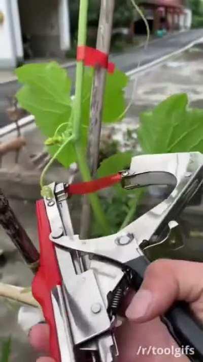 Plant Tying Device.