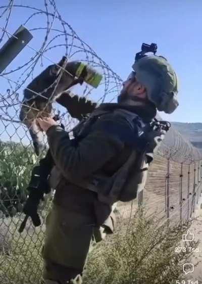 Evil soldier traps cat in can and left it in barbed wire.