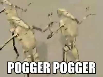 Pogger Pogger