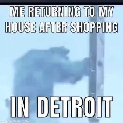 Can't have shit in detroit