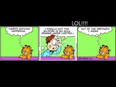 top 5 funy garfeild comics!!!!