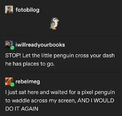 let's get waddling, gents🐧