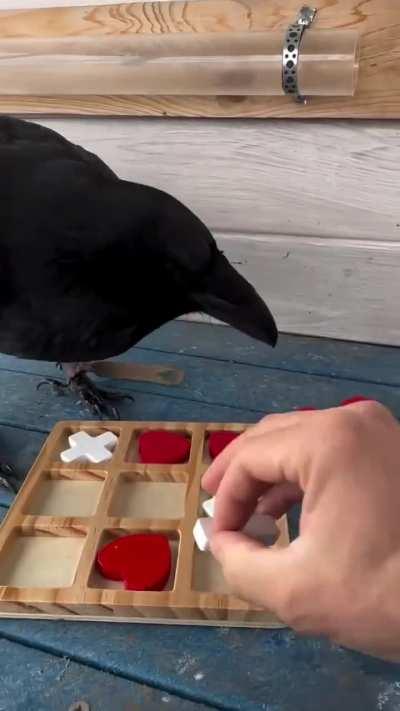 A Raven is crowned in Tic-Tac-Toe