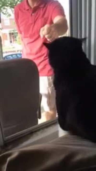 New dog makes cat meow inside