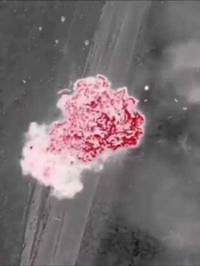 Thermal footage of Ukrainian drone dropping a grenade on a Russian tank