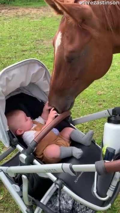 Hey kid, I’m horse..