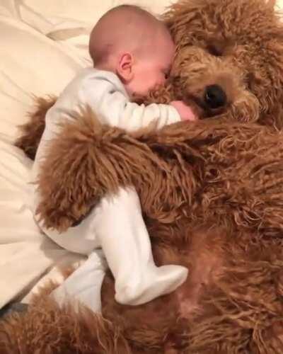 Baby With Dog