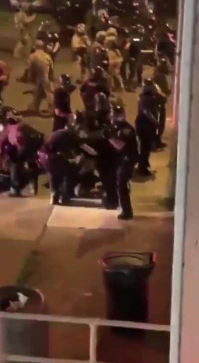 Car driver preventing protesters from getting killed by sacrificing some pigs (nothing of value lost)