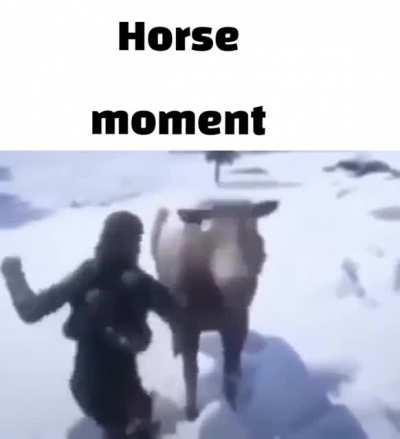 Horse