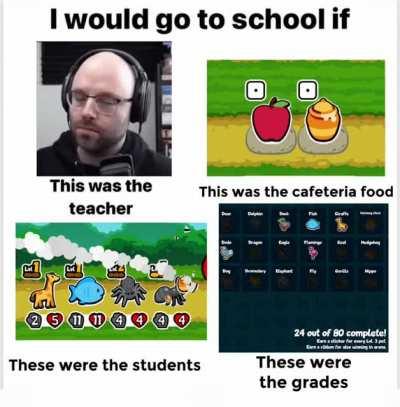 I would go to school if