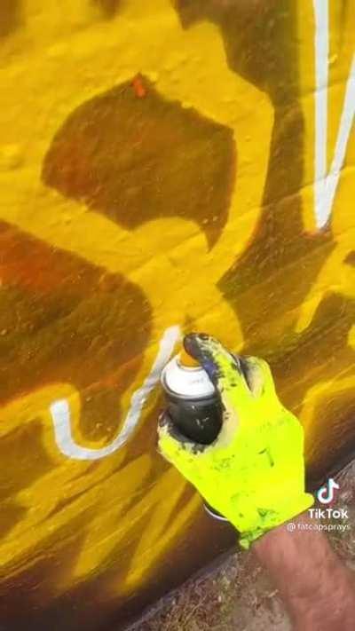 This work of streetart (OP was fatcapsprays on tiktok)