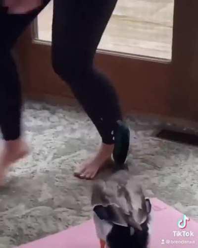 kIlLeR DuCk fUcKiNg hAtEs yOgA