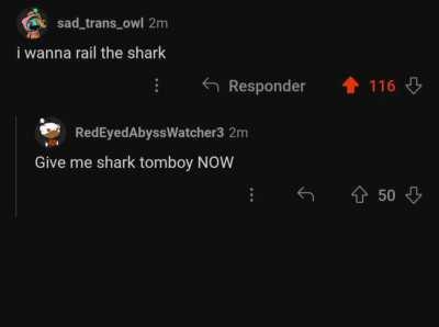 shark