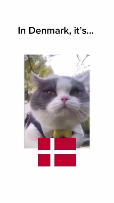 Svenska vs dansk