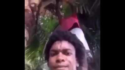 WCGW standing under a coconut tree