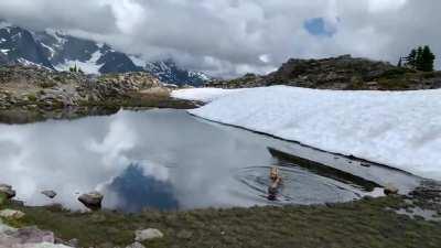 He got lost in the view of the mountains - right into ice water...