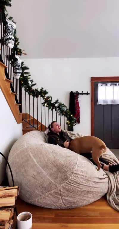 Dog Wipes Out Trying to Jump into Giant Bean Bag Chair