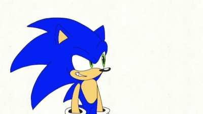 Don't randomly censor Sonic Generations...