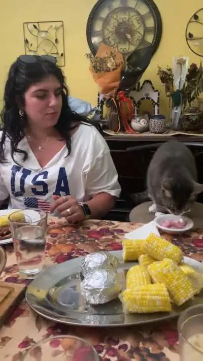 My uncle’s cat has his own seat at the dinner table