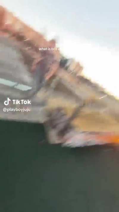 This guys whole tiktok is him littering and flicking the camera off