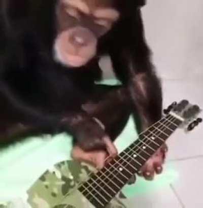 monkey music