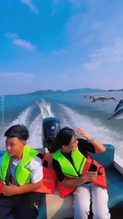 🔥 Skein of geese slipstreaming a boat