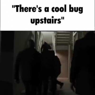 There’s a cool bug upstairs