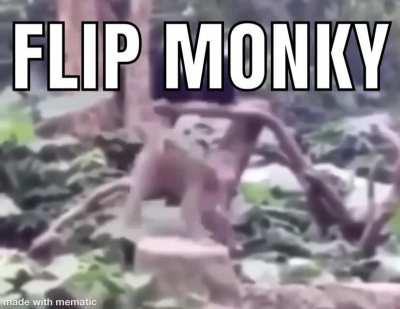 🦍🔄FLIP MONKY🔄🦍 oo ooh aah aaa