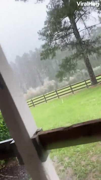 🔥Lightning strikes an electric fence.