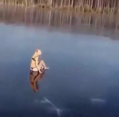 HMC while I take a dive