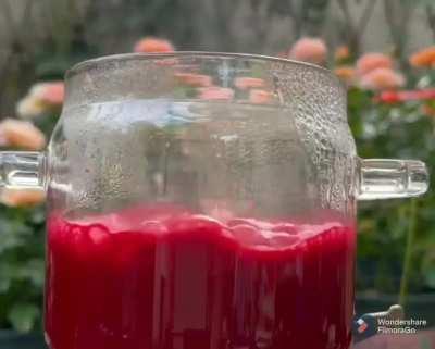 Making lipstick shade from cactus bugs