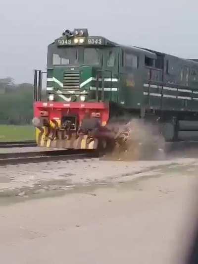 Donkey hit by train