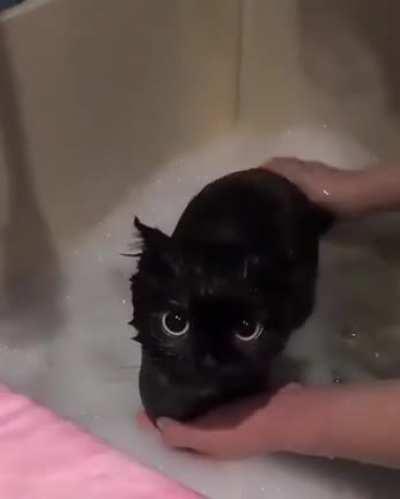 Recently captured footage of a black hole being washed