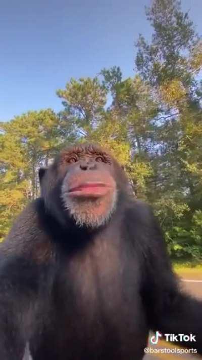 Monky like to chill with juice