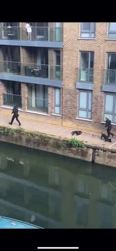 Better angle of the dog shooting in London. Glad the police have at least done one good thing this coronation weekend…