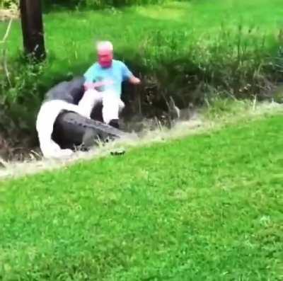 Florida man attempts capture alligator