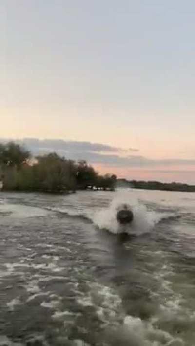 When a hippo decides to pursue your boat. They can move underwater at a speed of 15 mph (8 km/h) while on land up to 30 mph (48 km/h).