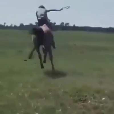 Gaucho Argentino taming a horse