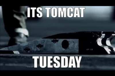 It’s Tomcat Tuesday