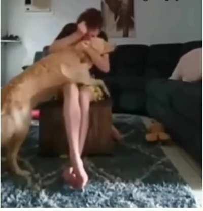 Dog helping autistic girl in a crisis where she beats herself