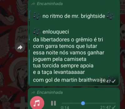 braituat música tema geraldo gremio - tetra libertadores 2024 atualizado 