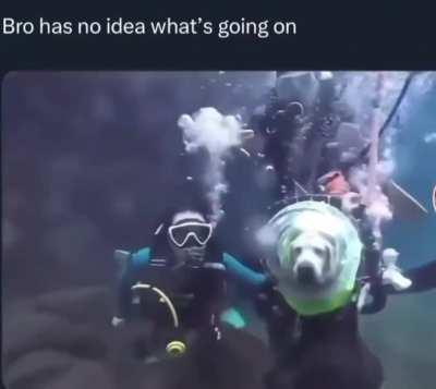 Scuba wunk