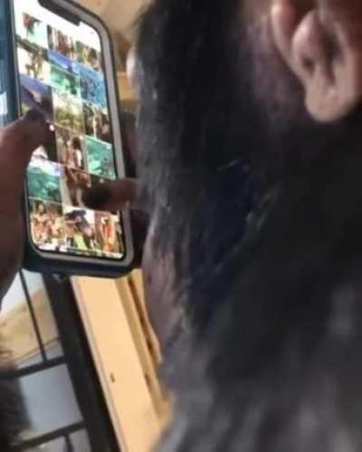 An ape browsing Instagram using a smartphone.