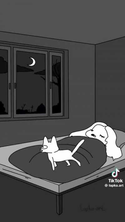 Cats at night