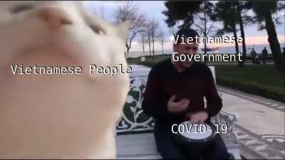 Seeing Vietnam handle COVID from an Americans perspective